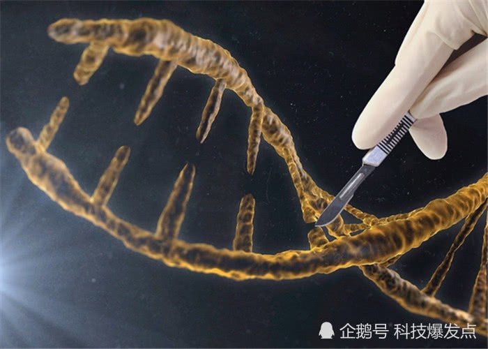 2.5亿年前的「人脚印」被发现，科学家：地球生命是一个循环！