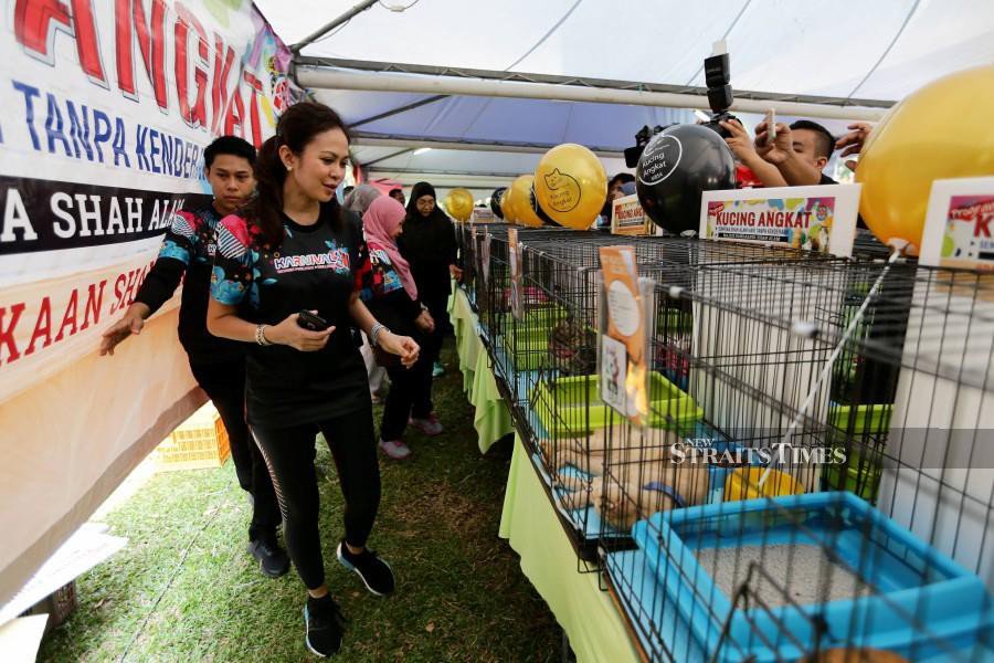 Selangor Tengku Permaisuri upset over rough treatment on stray dog