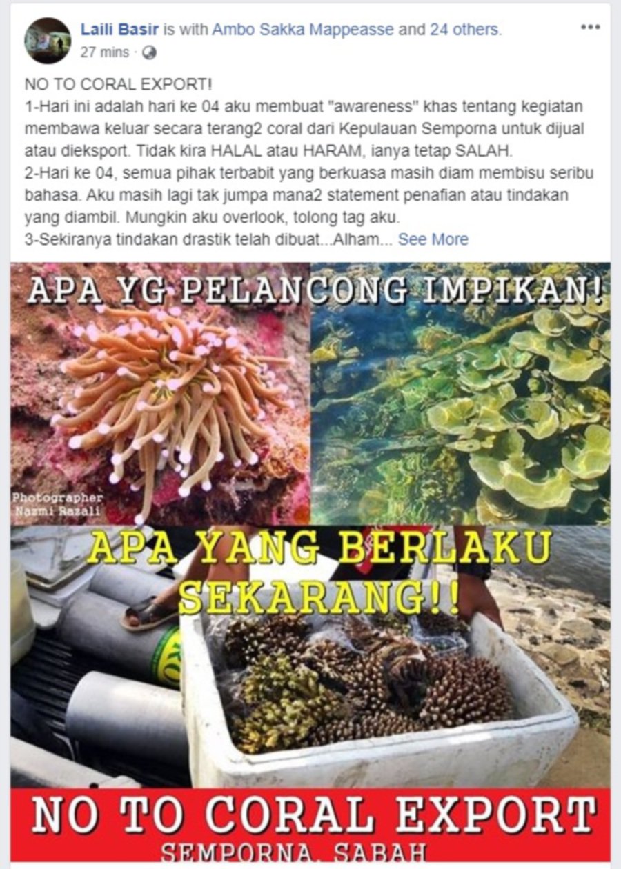 Authorities told to investigate coral theft in Semporna