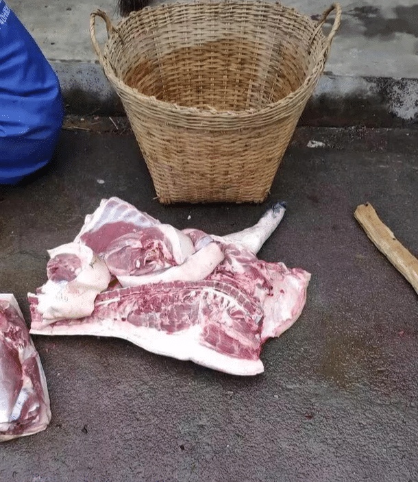 非洲猪瘟病毒是否真的不传染人？误食瘟猪肉对人有没有伤害？