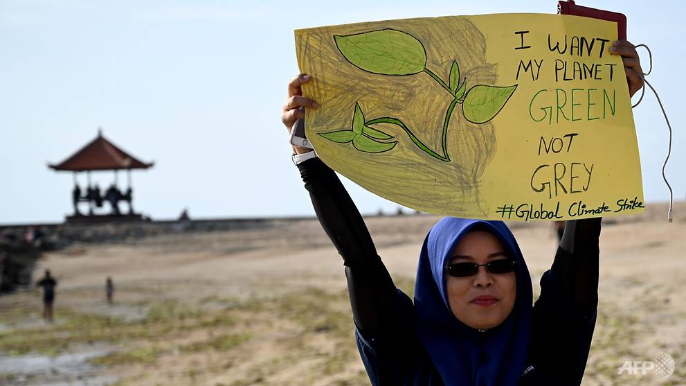 Indonesia launches agency to manage environment funds