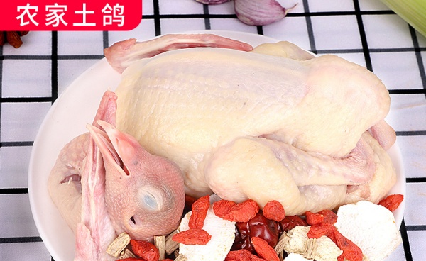 冬天，千万不要吃乌鸡了，它营养是乌鸡的9倍，补虚补血，好厉害