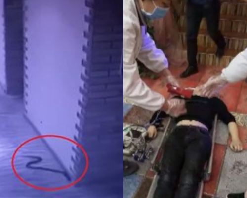 带毒蛇逼女子发生性关系 江西男事后遭蛇咬身亡