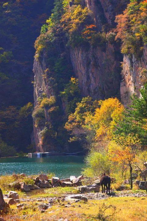 山西10个赏秋好去处，除了右玉，这些地方也不可错过