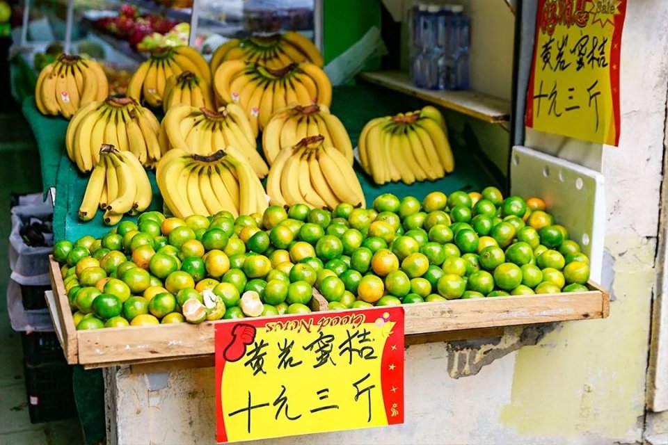 锁金村，南京的秋天从这里开始