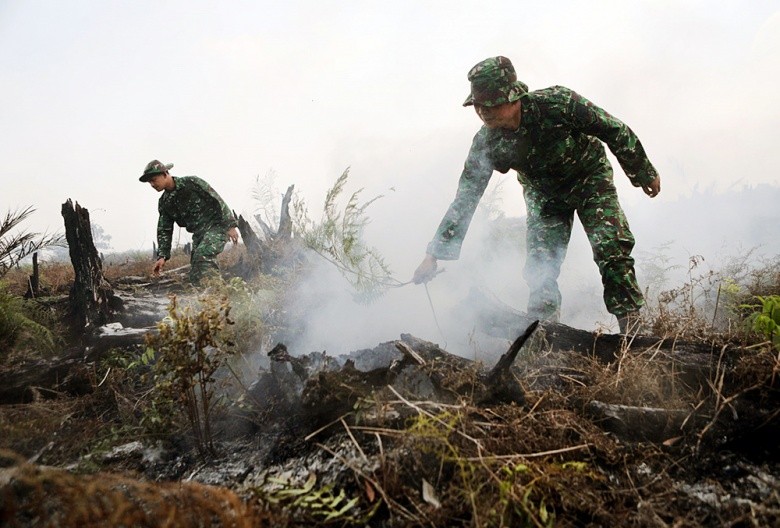 Air quality in West Sumatra decreases as haze spreads to the area