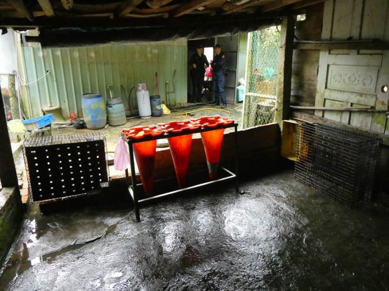 传为违法养鸡场关说？基隆议员极力否认