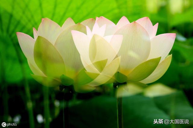 泄泻：湿热蕴肠—清热利湿，肝气乘脾—抑肝扶脾，10种泄泻这样解