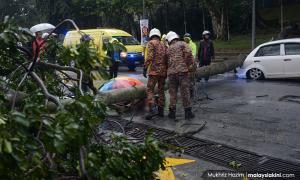 Falling tree kills woman at UM entrance