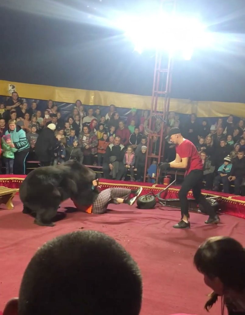 Russian Circus Bear Mauls Its Handler, Terrifying Crowd Just Yards Away