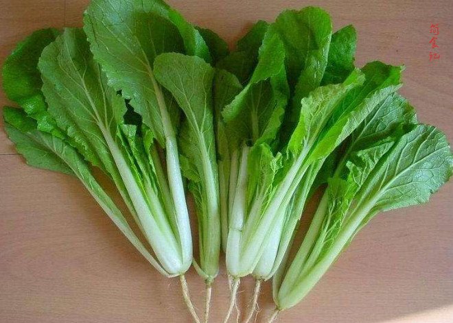 秋天，这种菜最便宜，1块钱1斤，用它包饺子比韭菜好吃，太香了
