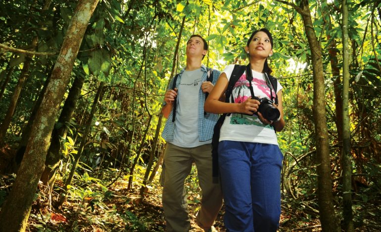 Download your holiday schedule at Tourism Malaysia’s website