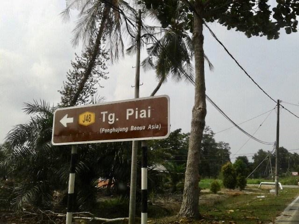 Tanjung Piai poll an acid test for BN’s multiracialism amid Malay-Islamist union with PAS