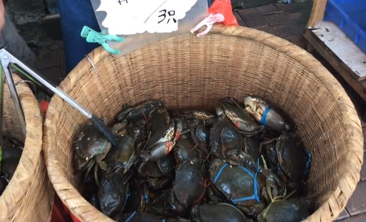 去青岛吃海鲜，买9只“大青蟹”，花50元，掰开后：敢卖这个价？