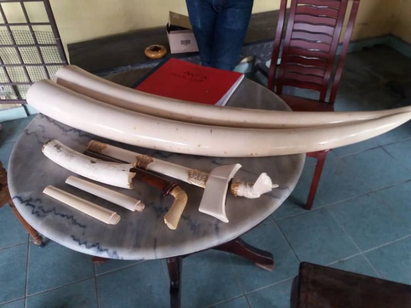 Wildlife authorities arrest two, seize 48 suspected illicit items in Kelantan raid