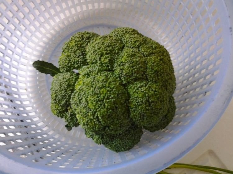 炒西兰花时，要不要先焯水？一直没弄明白，难怪又黄又蔫，不干净
