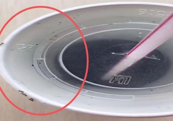 饮可乐后杯内爬出蚂蚁　男子事后腹泻向快餐店索偿