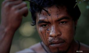 Illegal loggers kill Amazon indigenous warrior who guarded forest, wound another