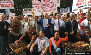 Felda settlers reminisce good times with BN at protest outside Parliament