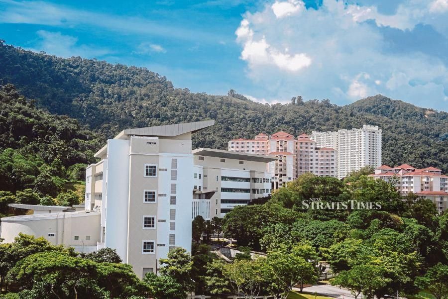 More Penang hilltop land to be sold?
