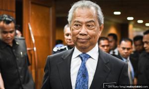 Karmaine's oil palm comment should not be misunderstood - Muhyiddin