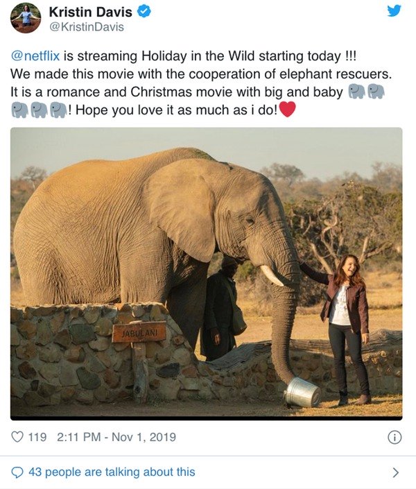 Where Did Netflix's Holiday In The Wild Film The Elephants?