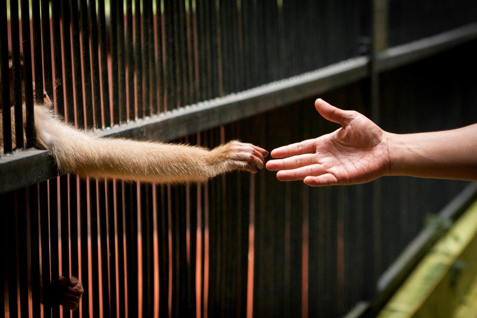 Animal cruelty still plagues Indonesia’s zoos despite outrage voiced on social media, and government’s pledges to do better