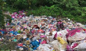 Jungle used as dumpsite for years, complaints to council 'pushed' aside