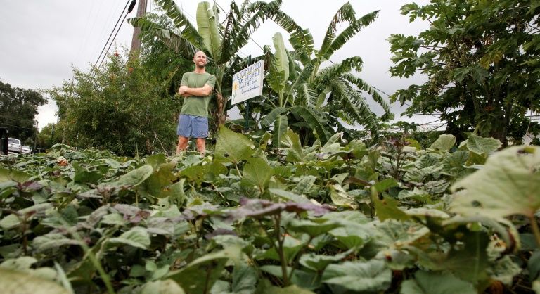 How to live off the land... In a major US city
