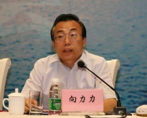 涉以职权受贿 湖南省人大副主任向力力被起诉
