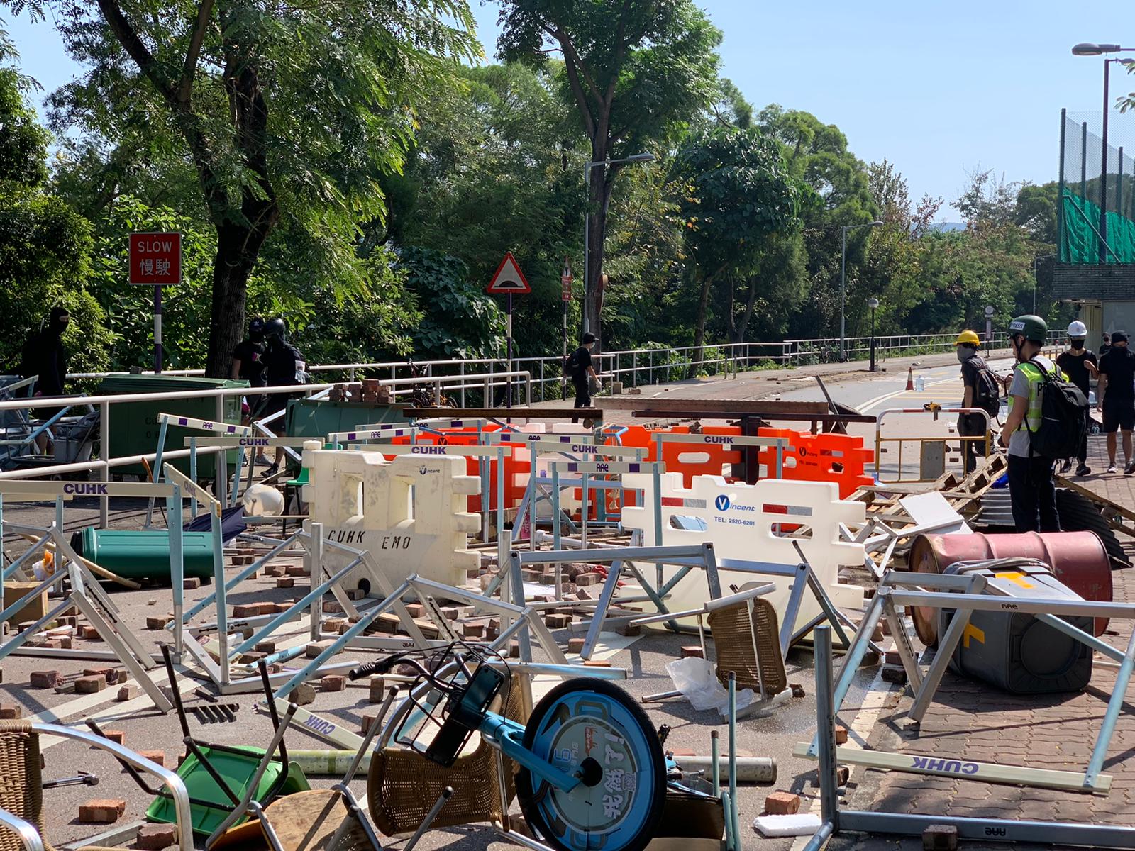【大三罢】锯棕榈树堵路 吐露港公路受阻科学园路一度开通
