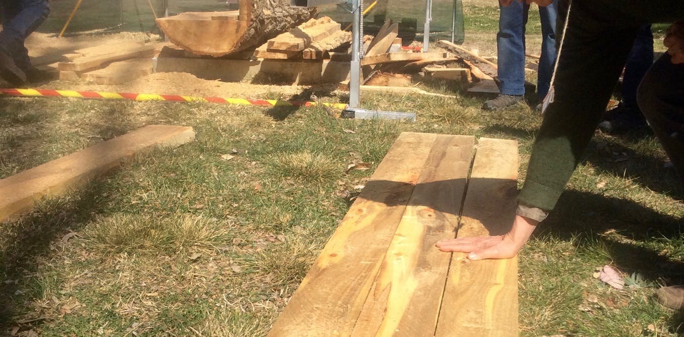 When a tree dies, don't waste your breath: Rescue the wood to honor its memory