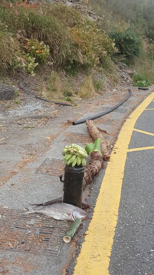 连假上武岭跑山！沿途见「2串香蕉+2条鱼」摆出奇特阵法 , 网友看完急劝「別碰快逃」：会被缠上的！