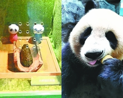 不臭还有竹香？武汉动物园展熊猫粪便供游客闻