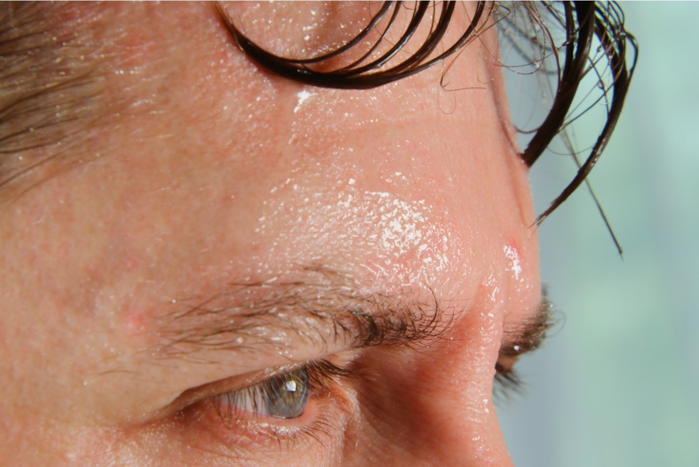 Prince Andrew claims he 'didn't sweat'. Here's the science