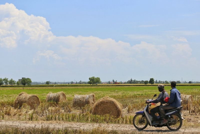 World Bank: Malaysia’s agricultural productivity less than half that of high-income countries