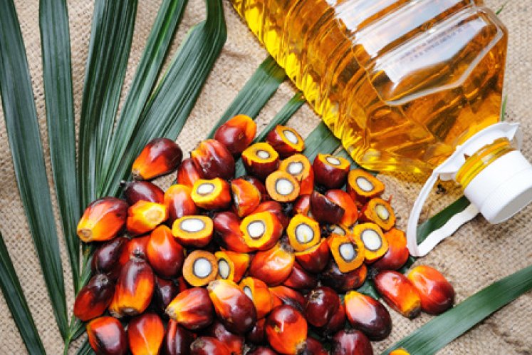 Good move to have body like OPEC for palm oil industry: MPOB