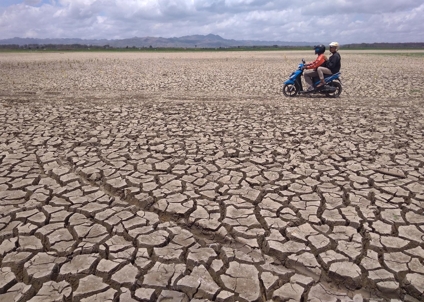 Dry spell persists in East Sumba as regency suffers 249 days without rain