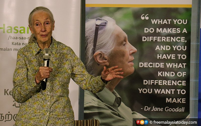 Stop destroying old forests, urges top primate expert Jane Goodall
