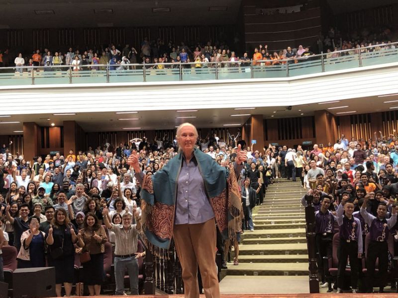 In first visit to Penang, Jane Goodall says it is not too late to save our planet