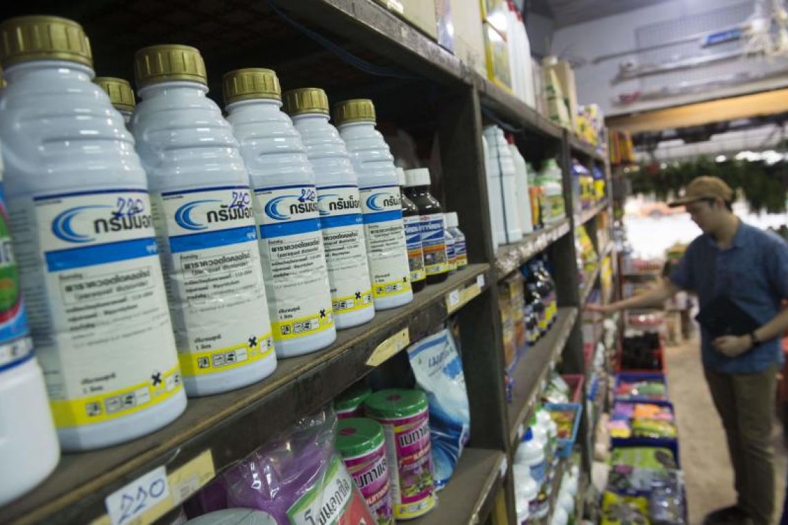Thailand postpones Dec 1 ban on two toxic farming chemicals following protests