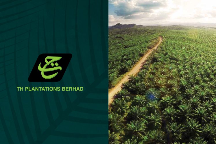 TH Plantations 3Q net loss up 60% on impairment losses