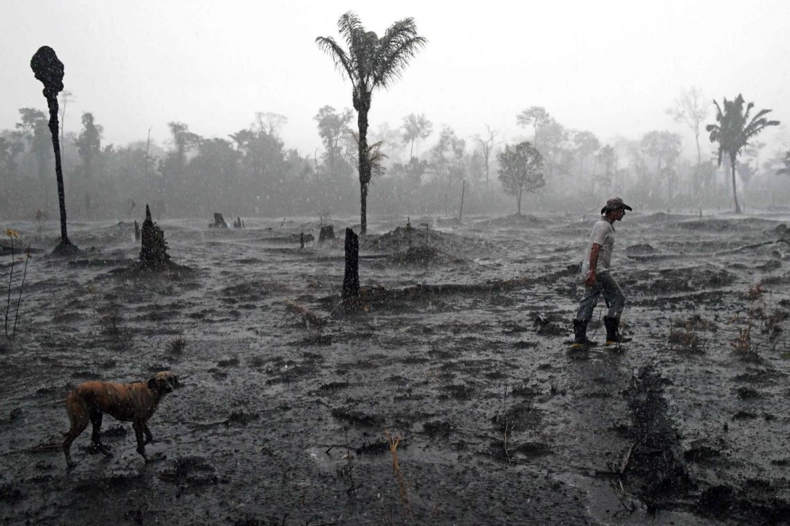Planet tipping towards global climate disaster, scientists warn