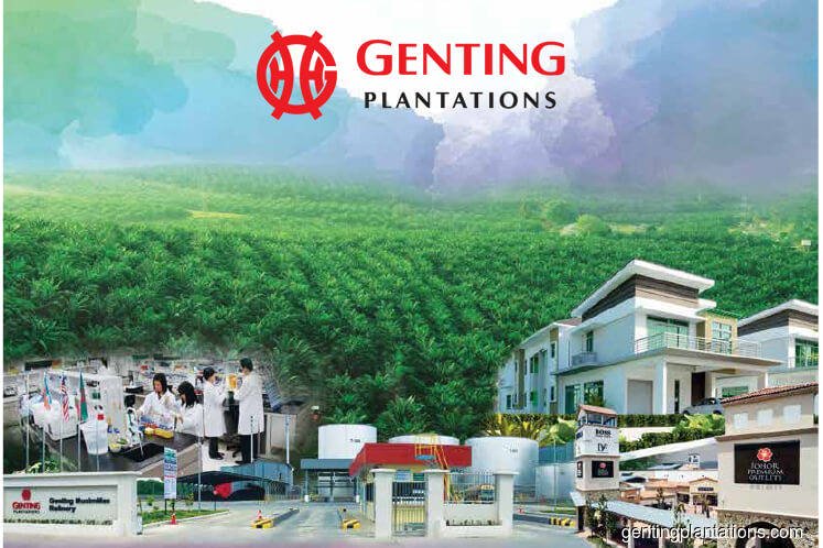 Genting Plantations reports 24% drop in 3Q net profit
