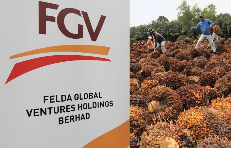 减值降低 营运改善‧FGV第三季净亏收窄至2.6亿
