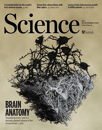 Comprehensive AAV capsid fitness landscape reveals a viral gene and enables machine-guided design