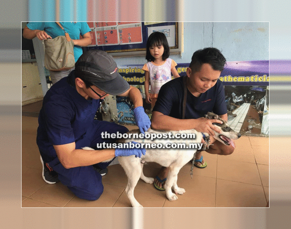 DVS: 70 pct of dogs in the state vaccinated against rabies