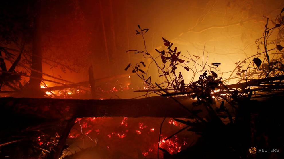Indonesian fires burnt 1.6 million hectares of land this year: Researchers