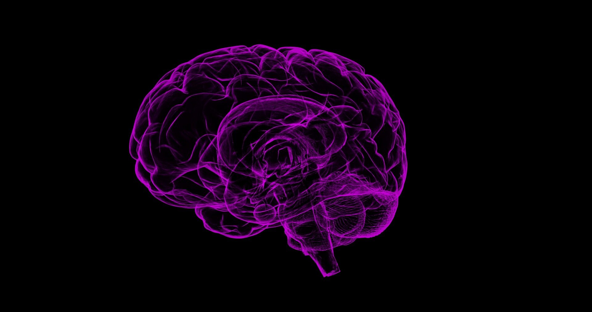 Mapping the relay networks of our brain