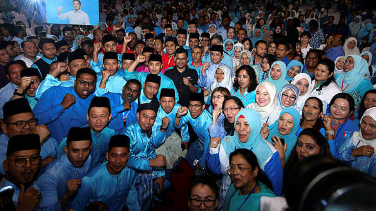 PKR Youth want party to focus on maintatining discipline and party image
